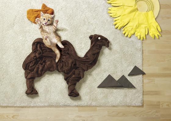 Life is Adventure:Imaginative Life of Kittens and Puppies