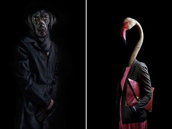 Second Skins: Unusual Photo Series of Dressed Up Animals