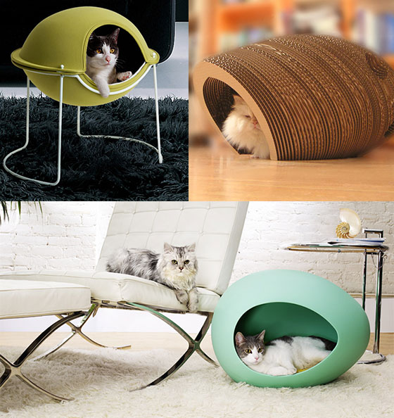 Stylish cat hot sale bed