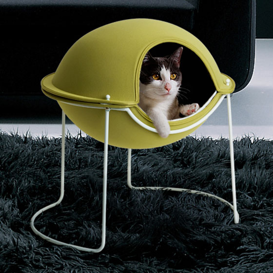 8 Comfortable and Modern Cat Beds