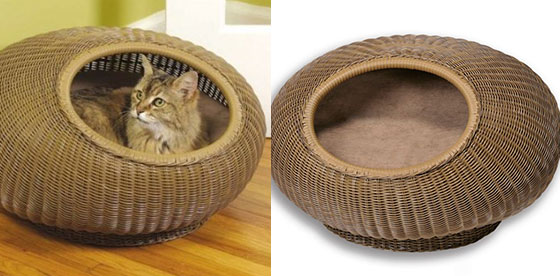 8 Comfortable and Modern Cat Beds