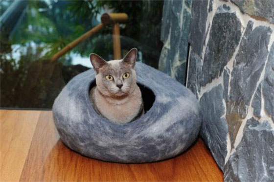 8 Comfortable and Modern Cat Beds