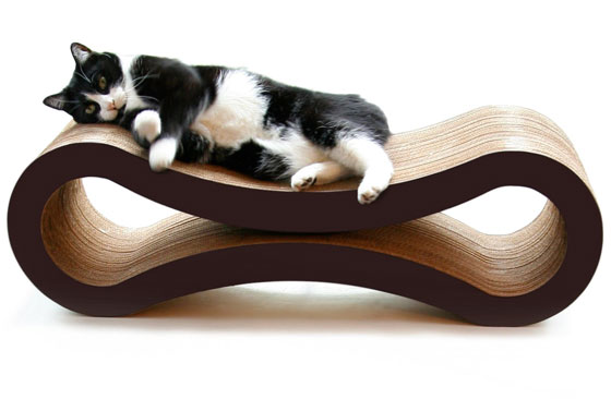 8 Comfortable and Modern Cat Beds