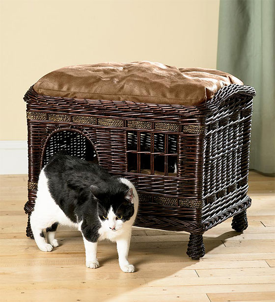 8 Comfortable and Modern Cat Beds