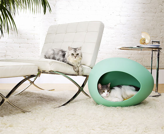 8 Comfortable and Modern Cat Beds