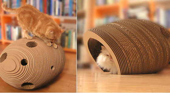 8 Comfortable and Modern Cat Beds