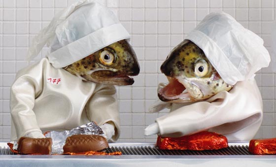 Scenes Created with Real Fish Head to Satirize Everyday Life of People