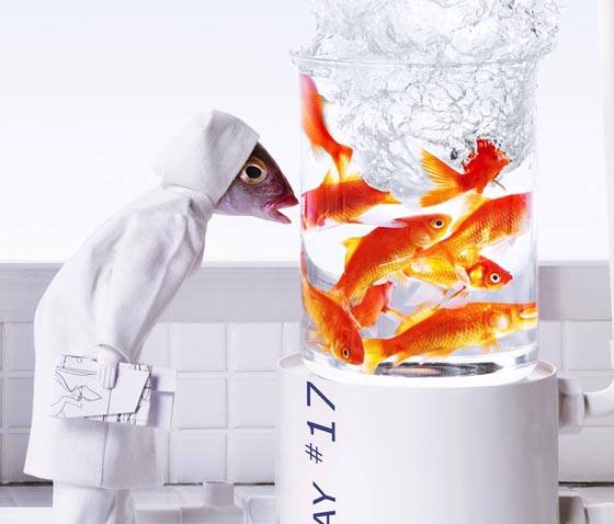 Scenes Created with Real Fish Head to Satirize Everyday Life of People