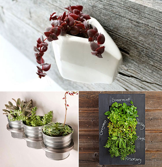 12 Cool Wall Planters for Urban Dweller