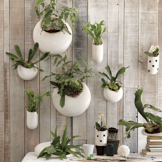 12 Cool Wall Planters for Urban Dweller