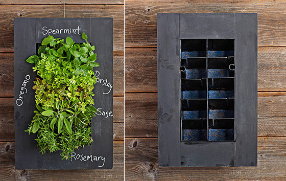 12 Cool Wall Planters for Urban Dweller