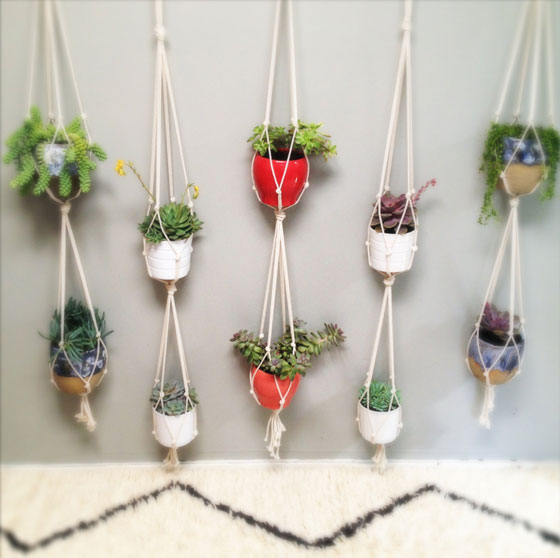 12 Cool Wall Planters for Urban Dweller