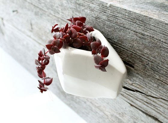 12 Cool Wall Planters for Urban Dweller