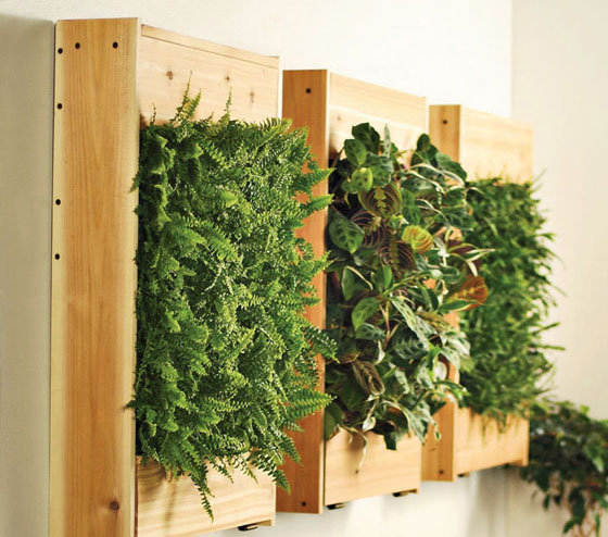 12 Cool Wall Planters for Urban Dweller