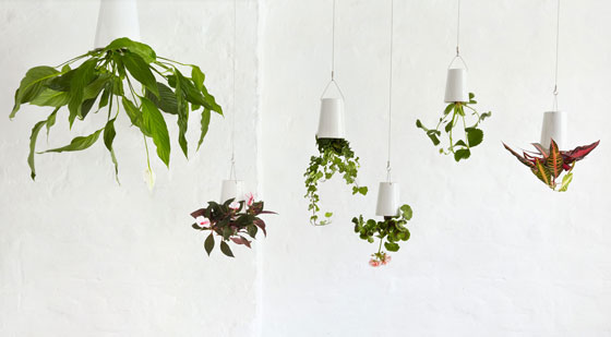 Sky Planter: Ingenious Indoor Garden Solution for Limited Space