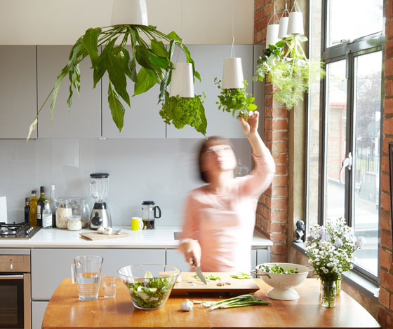 Sky Planter: Ingenious Indoor Garden Solution for Limited Space