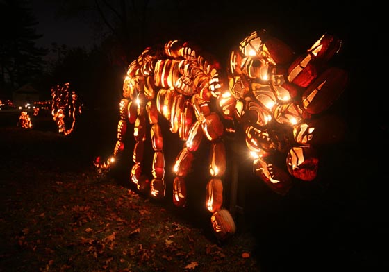 The Great Jack O'Lantern Blaze: Amazing Carved Pumpkin O'Lantern Sculptures