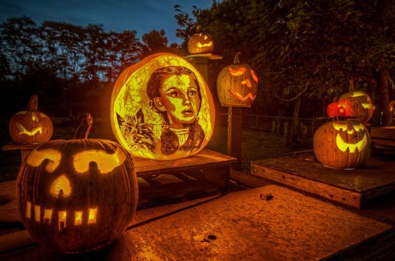 Incredible Jack-O-Lanterns Made by Crew from Passion for Pumpkins