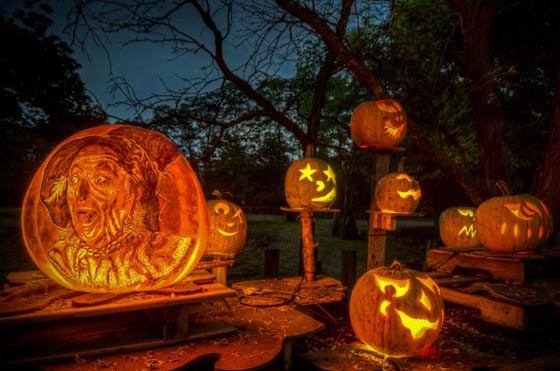 Incredible Jack-O-Lanterns Made by Crew from Passion for Pumpkins