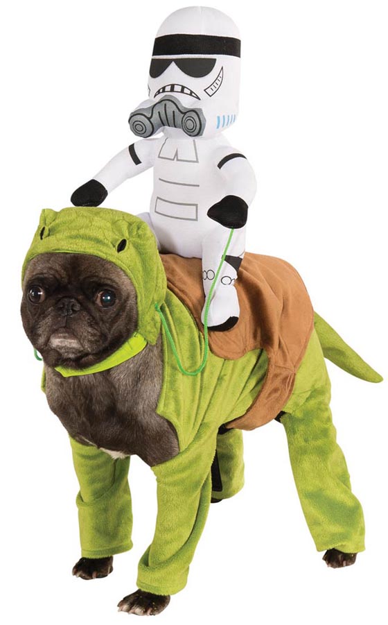20 Cutest Pet Halloween Costumes Ideas