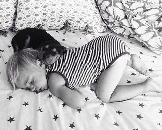 Adorable Photos Sleeping Baby and Puppy