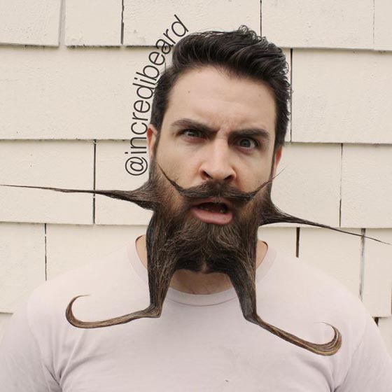 Mr. Incredibeard: Incredible Beard Style