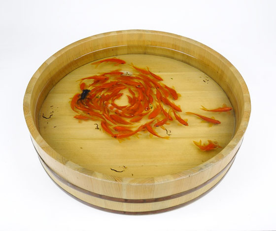 The Painted Breath: 3D Painting of Layered Resin Goldfish by Riusuke Fukahori