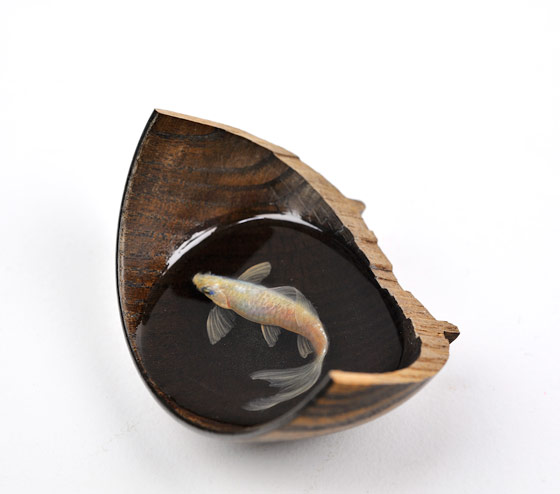 The Painted Breath: 3D Painting of Layered Resin Goldfish by Riusuke Fukahori