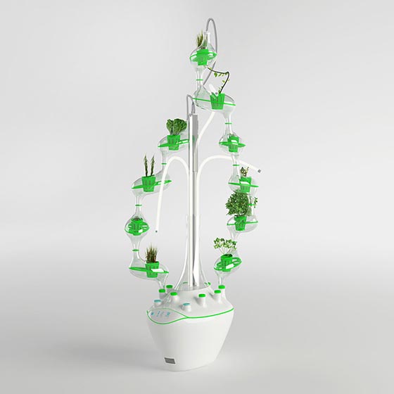 PlanTree: a Tree of Plants 