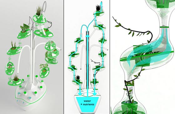 PlanTree: a Tree of Plants 