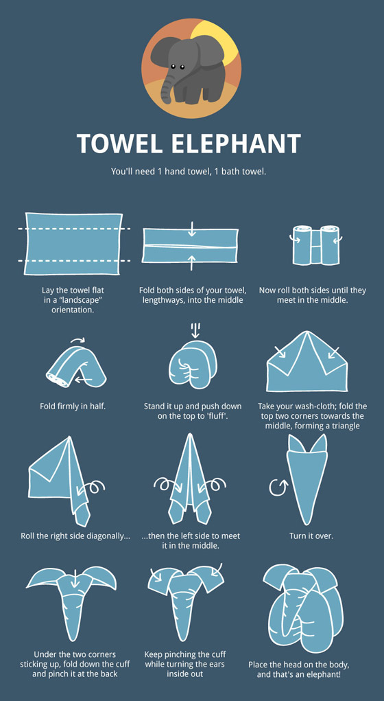 Towel Animal Folding Infographic: Ultimate Guide to Create Your Own Towel Animal