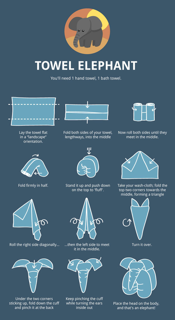 Towel Animal Folding Infographic Ultimate Guide to Create Your Own