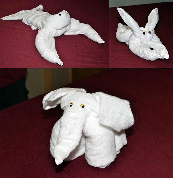 Towel Animal Folding Infographic Ultimate Guide to Create