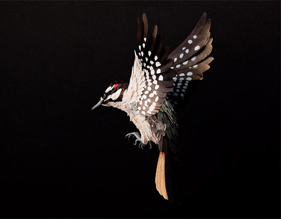 Life-size 3D Paper Birds from Diana Beltran Herrera