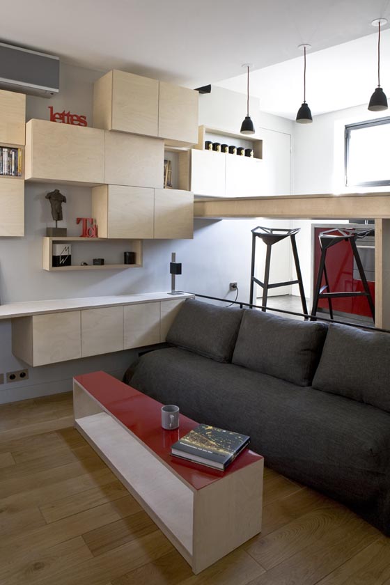 Small Apartment Built on 130 Square Feet Surface