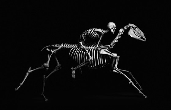 Evolution: Amazing Skeleton Photography by Patrick Gries