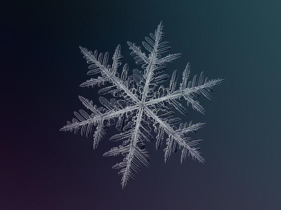 Stunning Macro Photography of Snowflakes by Alexey Kljatov