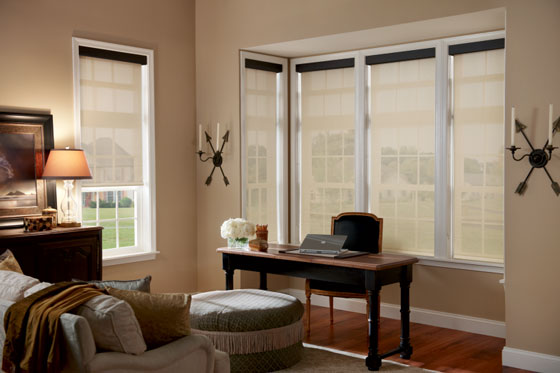 Which Window Treatment is Right for You, Roman or Roller Shades?