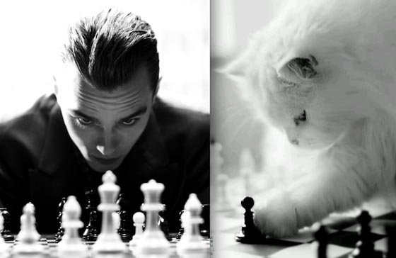 Des Hommes et des Chatons: Handsome Men and Cute Cats in Similar Poses