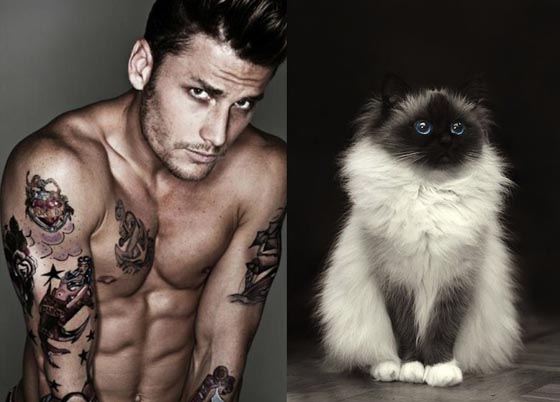 Des Hommes et des Chatons: Handsome Men and Cute Cats in Similar Poses