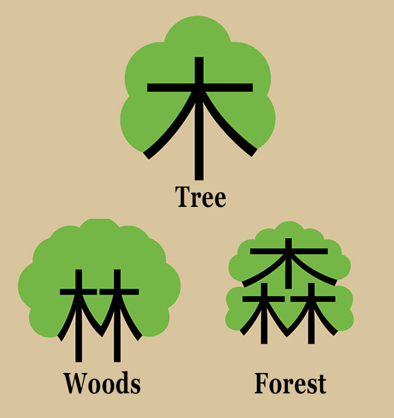 Fun and Intuitive Illustration Help to Learn Chinese