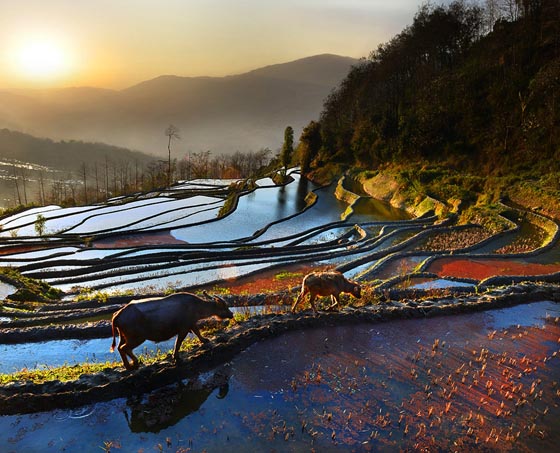 Stunning Photography Features Rich Culture and Scenic Nature of Asia