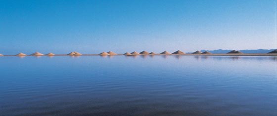 Desert Breath: Land Art Installation in the Sahara Desert