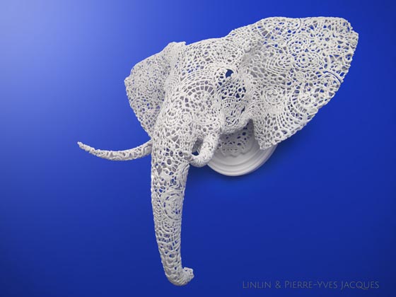 Animal Lace: Spectacular Wall Sculpture
