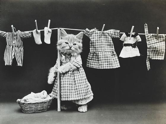 Hilarious pet Photograph from a Century Ago