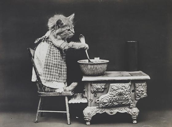 Hilarious pet Photograph from a Century Ago