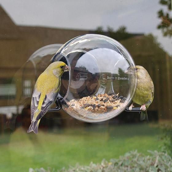 8 Cool And Modern Bird Feeders Design Swan