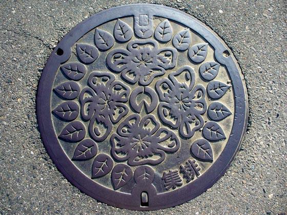 Artistic Manhole Covers in Japan