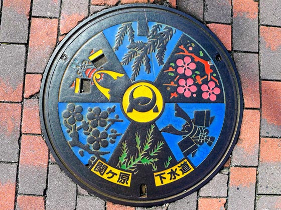 Artistic Manhole Covers In Japan Design Swan