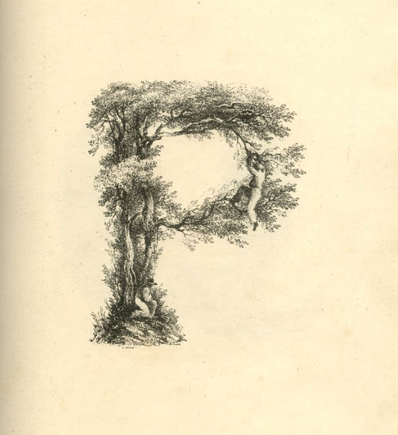 Glorious Landscape Alphabet Art From 19th Century